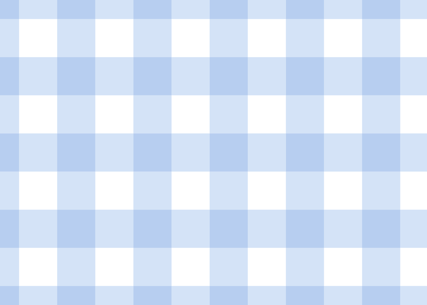 Blue Gingham Stationery Set