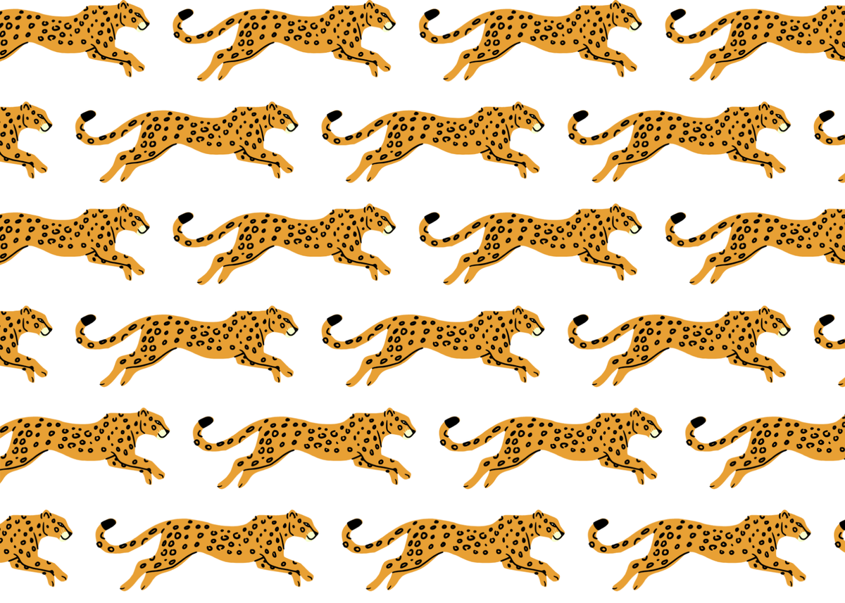 Cheetah Stationery Set